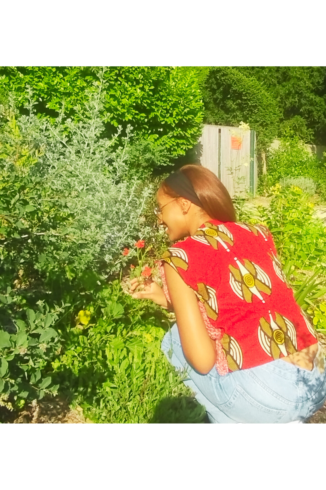Veste Roubia